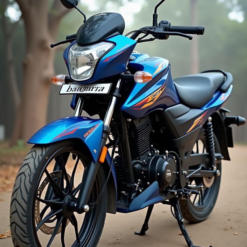 Bajaj Platina ghar laiye